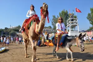 MERSİN (AA) – Mersin'in Silifke ilçesi sahilinde bu yıl ilk