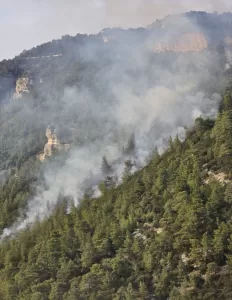 - Bölgenin sarp arazi yapısı, yer ekiplerinin müdahalesini güçleştiriyor