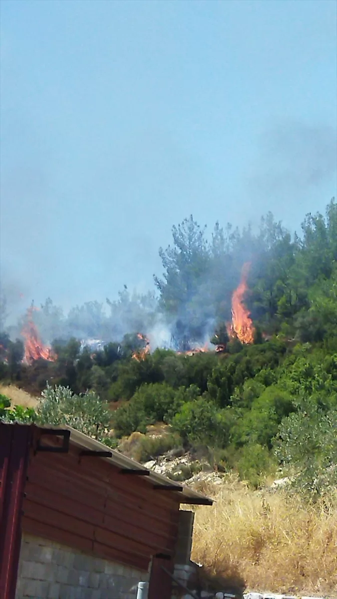 Muğla'da orman yangını başladı