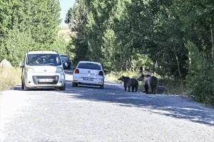 - Bitlis'te hafta sonunu Nemrut Krater Gölü'nde geçirmek isteyen doğaseverler