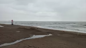 SAKARYA (AA) – Sakarya'nın Karadeniz'e kıyısı olan Karasu, Kocaali ve