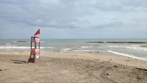 SAKARYA (AA) – Sakarya'nın Karadeniz'e kıyısı olan Karasu, Kocaali ve