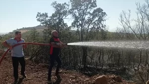 SİİRT (AA) – Siirt'in Pervari ilçesinde ormanlık alanda çıkan yangın