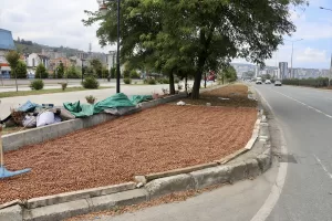 TRABZON (AA) – Trabzon'da geçen hafta fındık hasadına başlayan üreticiler