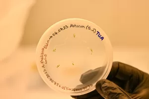 İSTANBUL (AA) – GÜLSELİ KENARLI – Türkiye'nin ilk insanlı uzay