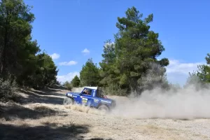 SAMSUN (AA) – Türkiye Otomobil Sporları Federasyonunca (TOSFED) düzenlenen PETLAS