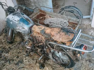 UŞAK (AA) – Uşak'ta müstakil bir evde ve deposunda çıkan