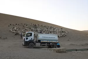 VAN (AA) – Van'ın Gürpınar ilçesinde kırsalda aşırı sıcaklardan dolayı