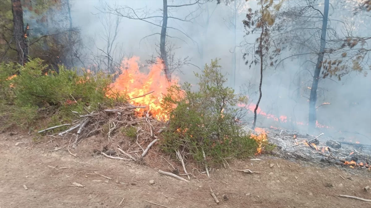 ADANA (AA) – Adana'nın Kozan ilçesinde çıkan orman yangını söndürüldü.