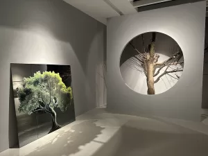 İSTANBUL (AA) – Resim ve Heykel Müzeleri Derneği ve Akbank