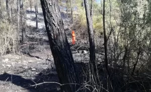 - Yangına 1 uçak, 2 helikopter, 8 arazöz, 3 su