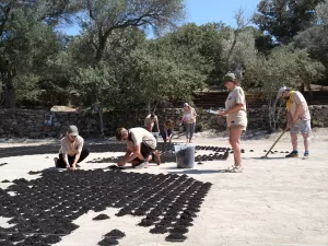 MUĞLA (AA) – Muğla'nın Bodrum ilçesinde halk ozanı Aşık Veysel,