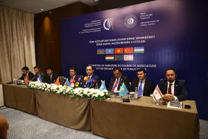 BAKÜ (AA) – Azerbaycan'ın başkenti Bakü'de düzenlenen Türk Devletleri Teşkilatı