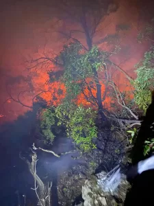 BİLECİK (AA) – Bilecik'te çıkan orman yangınına havadan ve karadan