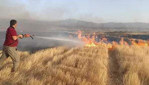 BİNGÖL (AA) – Bingöl'de otluk alanda çıkan yangın, ekiplerin müdahalesiyle