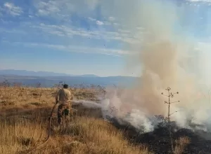 BİNGÖL (AA) – Bingöl'ün Adaklı ilçesinde otluk alanda çıkan yangın