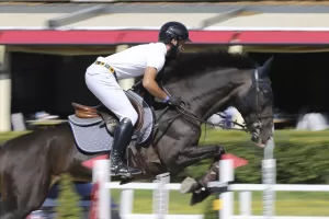 - Üç gün sürecek organizasyonda 315 at yarışacak