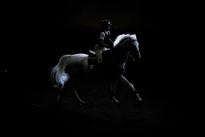 ANKARA (AA) – Binicilikte Cumhurbaşkanlığı Kupası Engel Atlama Yarışmaları, teşvik