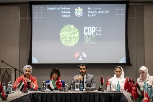 İSTANBUL (AA) – Birleşik Arap Emirlikleri'nin (BAE) Ankara Büyükelçisi Said