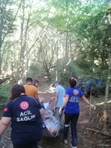 BOLU (AA) – Bolu'da ormanda rahatsızlanan kişi, sedyede yaklaşık 1