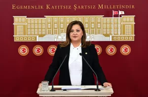 TBMM (AA) – CHP Grup Başkanvekili Burcu Köksal, Avrupa İnsan