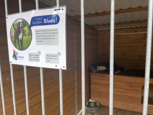 VARŞOVA (AA) – MURAT TEMİZER – Avrupa'da yıllar içinde uygulamaya