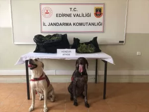 EDİRNE (AA) – Edirne'de, jandarma ekiplerinin düzenlediği operasyonda 6 kilo