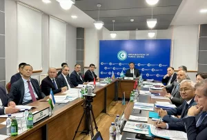 ANKARA (AA) – Türk Devletleri Teşkilatı (TDT) üye ülkelerinin Devlet