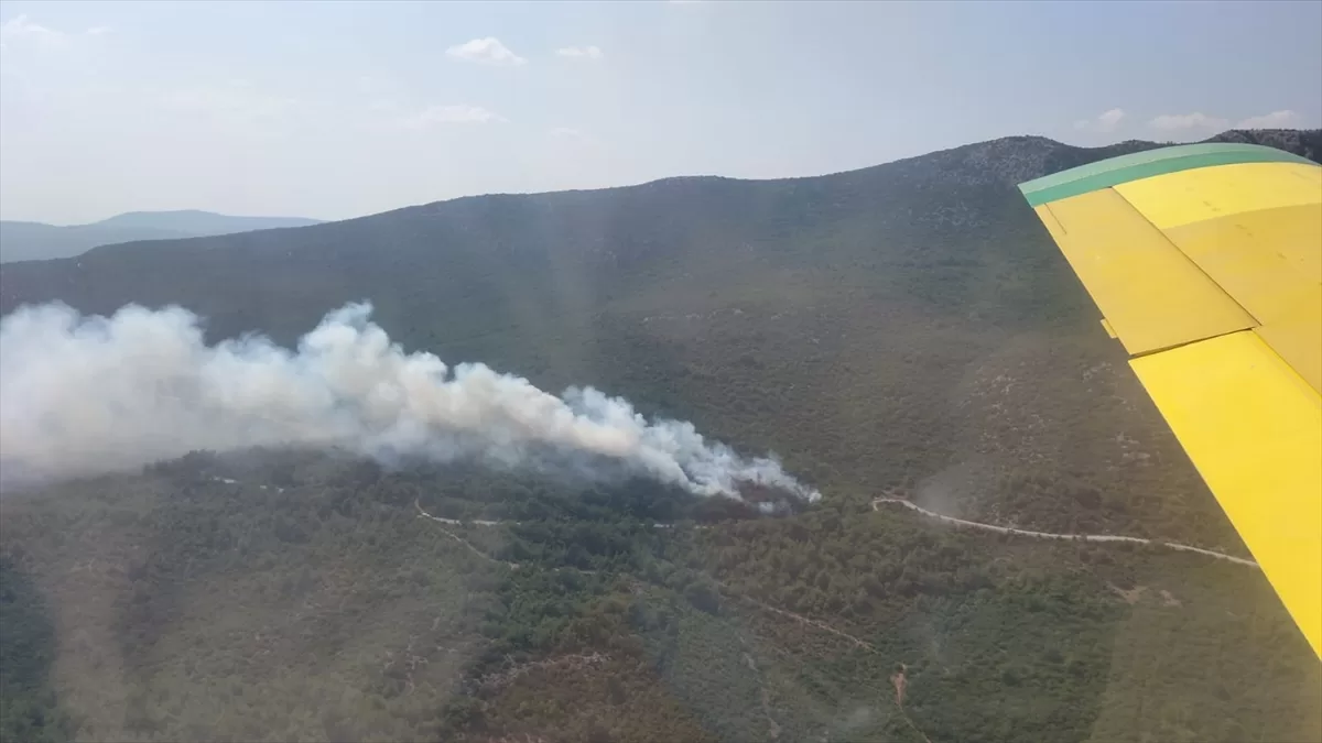 İzmir'de çıkan orman yangınına müdahale ediliyor