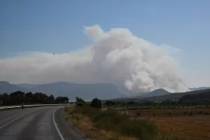 İZMİR (AA) – İzmir'in Menderes ilçesinde çıkan orman yangınına havadan