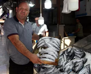 SİNOP (AA) – Sinop'ta avlanan kasalar dolusu palamut, balıkçıların yüzünü