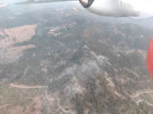 MUĞLA (AA) – Muğla'nın Köyceğiz ilçesinde çıkan orman yangınında 3