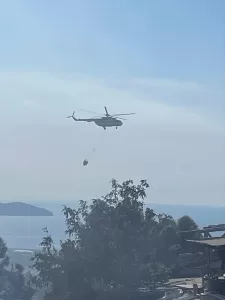 İSTANBUL (AA) – Maltepe'de ormanlık alanda çıkan yangına itfaiye ekiplerinin