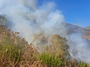 MERSİN (AA) – Mersin'in Bozyazı ilçesinde çıkan orman yangını söndürüldü.