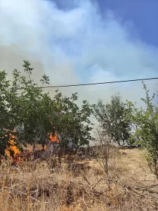 MERSİN (AA) – Mersin'in Gülnar ilçesinde, zirai alanda çıkan yangın,