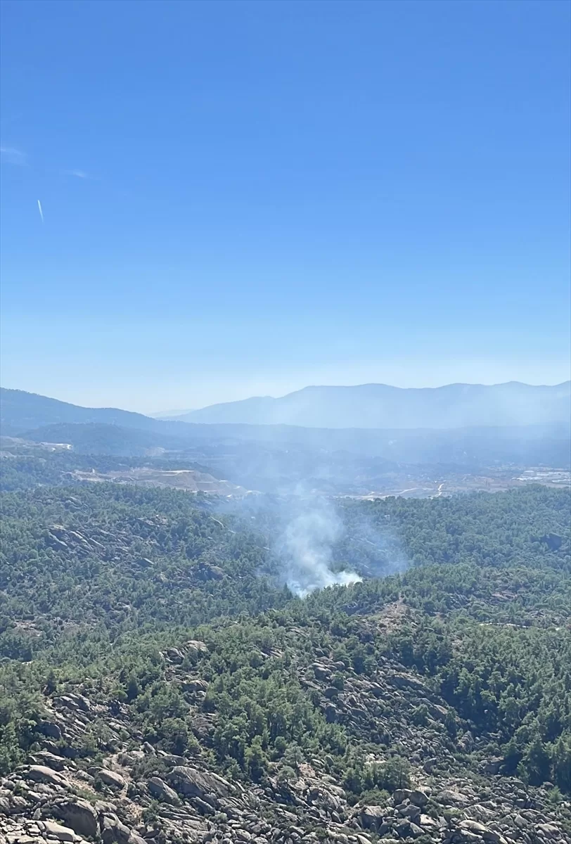 Muğla'da çıkan orman yangınına müdahale ediliyor