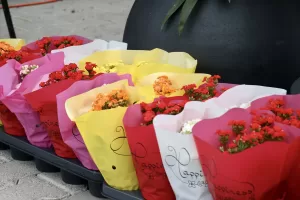 SAKARYA (AA) – Sakarya'da üçüncüsü düzenlenen PSB Anatolia Uluslararası Peyzaj,