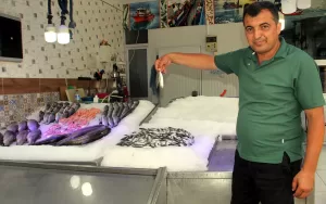 SİNOP ( AA) – Av yasağının kalkmasıyla "vira bismillah" diyen