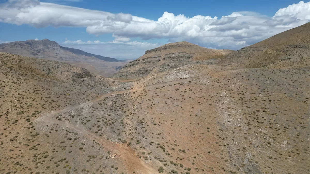 Şırnak'ın Uludere ilçesinde belediye 8 ayda 3 yayla yolunu ulaşıma açtı