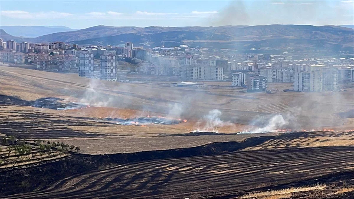 Sivas'ta çıkan anız yangını söndürüldü