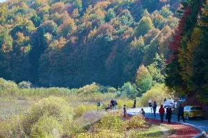 BOLU (AA) – Bolu'nun doğal güzellikleriyle ünlü Abant Gölü Milli