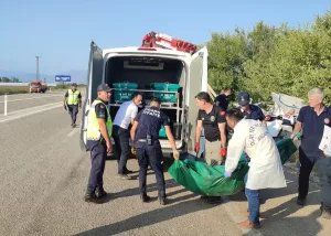 ADANA (AA) – Adana'nın Kozan ilçesinde, lastiğinin patlaması sonucu şarampole