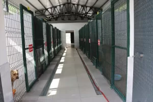 AMASYA (AA) – Amasya Belediyesi tarafından 14 dönüm arazi üzerine