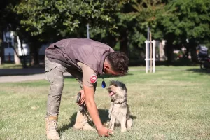 ANTALYA (AA) – Antalya Büyükşehir Belediyesi, sokağa terk edilen kedi