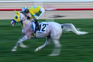 - Koşuyu Ahmet Çelik’in jokeyliğini yaptığı "Deniz Efe" adlı safkan