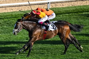 - Koşuyu Ayhan Kurşun’un jokeyliğini yaptığı Taylolo isimli safkan kazandı