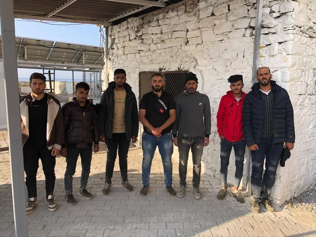 Aydın'da pamuk tarlasında 25 düzensiz göçmen yakalandı