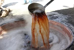 BİTLİS (AA) – Bitlis'in Hizan ilçesinde bağ bozumuyla dağların yamaçlarından