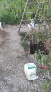 BURSA (AA) – Bursa'nın İznik ilçesinde izinsiz kazı yapan 5