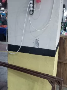 - Pompalı tüfekten çıkan kurşunlar, pazarda alışveriş yapan 73 yaşındaki